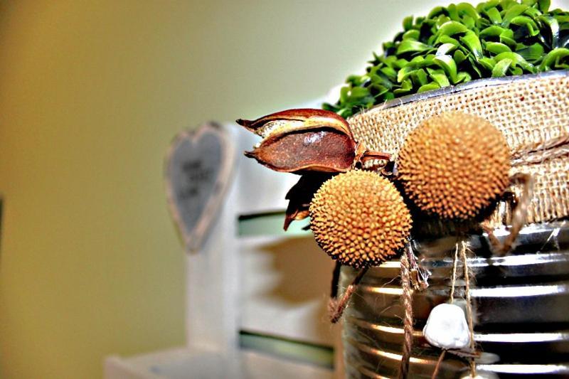 Casa Rural Bekirent ボカイレント エクステリア 写真